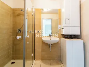 Pronájem bytu 5+1, Praha - Smíchov, Štefánikova, 168 m2