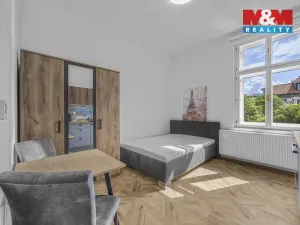 Pronájem bytu 1+kk, Praha - Nové Město, Legerova, 20 m2