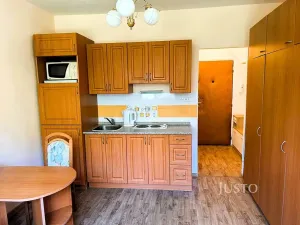 Pronájem bytu 1+kk, Písek, 17. listopadu, 19 m2