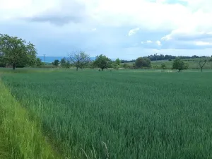 Prodej pozemku pro bydlení, Lipinka, 4373 m2