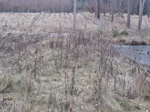 Pronájem rybníku, Hostim, 3504 m2