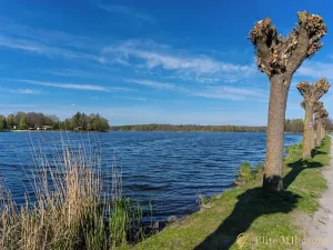 Prodej rodinného domu, Chlum u Třeboně, Třeboňská, 137 m2