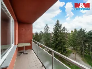 Pronájem bytu 1+1, Plzeň - Východní Předměstí, Motýlí, 39 m2