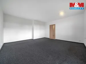 Pronájem bytu 1+1, Plzeň - Východní Předměstí, Motýlí, 39 m2