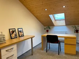 Prodej apartmánu, Ostrava, Zengrova, 397 m2