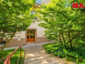 Prodej bytu 2+kk, Praha - Žižkov, Pod lipami, 53 m2