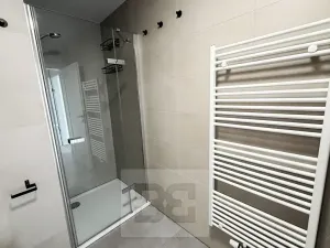 Pronájem bytu 1+kk, Plzeň, Železná, 34 m2