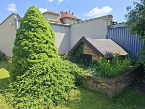 Prodej rodinného domu, Uherský Ostroh, Sv. Čecha, 180 m2