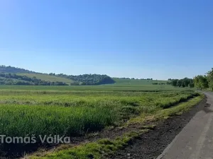 Prodej pole, Velešovice, 2950 m2