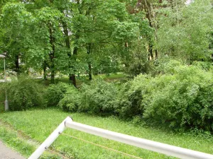 Prodej bytu 3+1, Frýdek-Místek - Místek, Václava Talicha, 74 m2