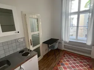 Pronájem bytu 1+kk, Praha - Vinohrady, Budečská, 20 m2