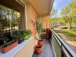 Prodej bytu 2+1, Bílina, Aléská, 48 m2