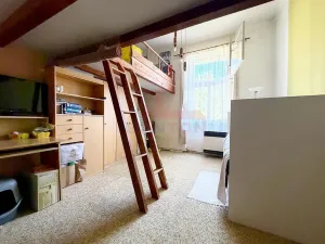 Prodej bytu 2+kk, Praha - Podolí, Nedvědovo náměstí, 69 m2