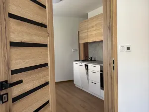 Pronájem bytu 3+1, Olomouc, 150 m2