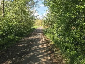 Prodej pozemku pro bydlení, Dobříkov, 1247 m2