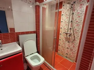 Prodej bytu 2+1, Ostrava, Sokolská třída, 48 m2