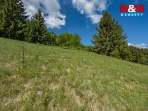 Prodej chalupy, Velké Karlovice - Malé Karlovice, 60 m2
