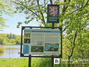 Prodej bytu 2+kk, Praha - Háje, Steinerova, 42 m2