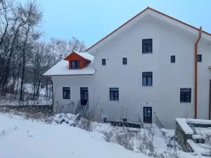 Pronájem bytu 2+kk, Peruc, U Koupaliště, 54 m2