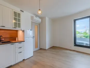 Pronájem bytu 1+kk, Praha - Žižkov, Malešická, 39 m2
