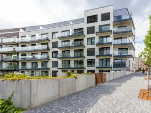 Pronájem bytu 1+kk, Praha - Žižkov, Malešická, 39 m2