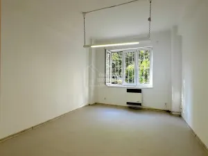 Pronájem bytu 2+kk, Praha - Žižkov, Jeseniova, 40 m2