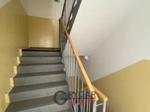 Prodej bytu 1+kk, Praha - Chodov, Benkova, 30 m2