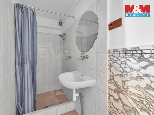 Prodej zemědělské usedlosti, Vrbice, 61 m2