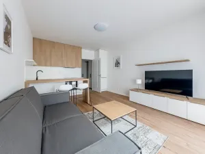 Pronájem bytu 1+kk, Praha - Karlín, Pernerova, 29 m2