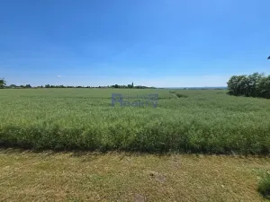 Prodej rodinného domu, Osičky, 186 m2