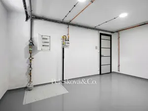 Pronájem rodinného domu, Praha - Braník, V malých domech I, 300 m2