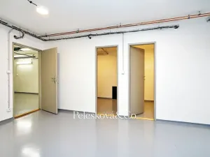 Pronájem rodinného domu, Praha - Braník, V malých domech I, 300 m2