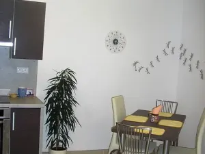 Pronájem bytu 1+kk, Olomouc, Mošnerova, 47 m2