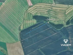 Prodej pole, Nosislav, 3449 m2