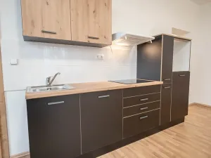 Pronájem bytu 1+kk, Čistá, 45 m2