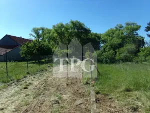Prodej pozemku pro bydlení, Opolany, 1144 m2