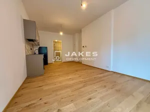 Pronájem bytu 1+kk, Praha - Břevnov, Pod Drinopolem, 30 m2