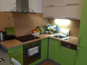 Pronájem bytu 1+kk, Brno - Žabovřesky, Horova, 31 m2