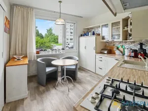 Prodej bytu 3+1, Nový Bor, Hřebenka, 81 m2