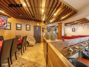 Prodej rodinného domu, Doksy, Pod Borným, 1700 m2