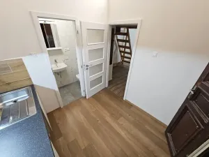 Pronájem bytu 1+1, Praha - Vinohrady, Mánesova, 28 m2