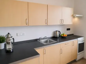 Prodej bytu 2+kk, Olomouc, Novosadský dvůr, 53 m2