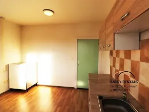 Pronájem bytu 1+kk, Průhonice, U Křížku, 20 m2
