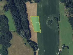 Prodej louky, Bystřice nad Pernštejnem, 26474 m2