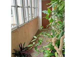 Pronájem bytu 3+1, Praha - Žižkov, Štítného, 67 m2