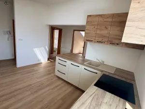 Prodej bytu 2+kk, Brno, Palackého náměstí, 50 m2