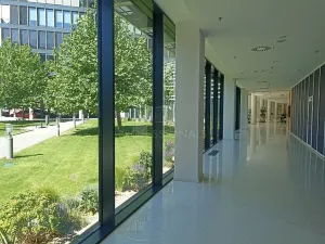 Pronájem obchodního prostoru, Praha - Nusle, Pikrtova, 56 m2
