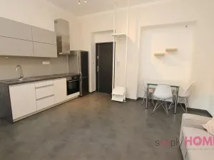 Pronájem bytu 2+kk, Praha - Holešovice, Milady Horákové, 45 m2