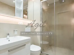 Pronájem bytu 1+1, Šlapanice, 30 m2