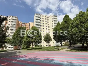Pronájem bytu 3+1, Brno, Spodní, 63 m2